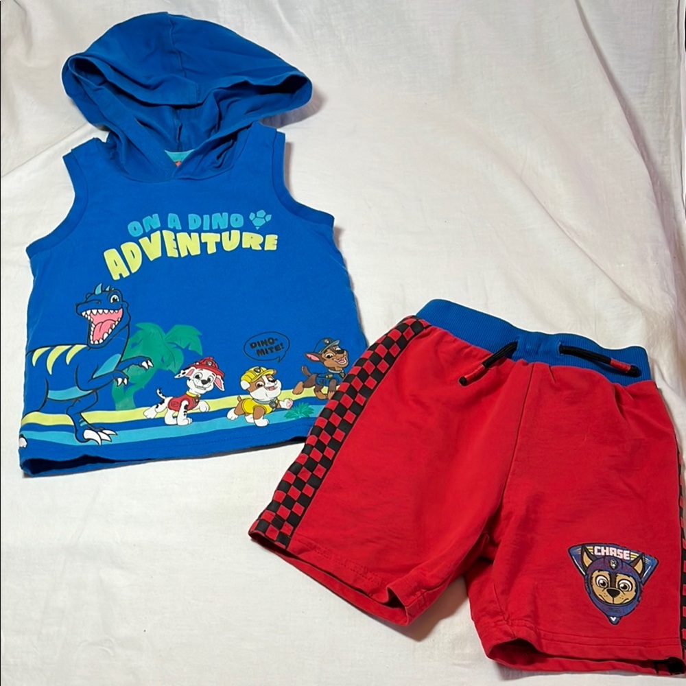 3T hooded tank top and shorts